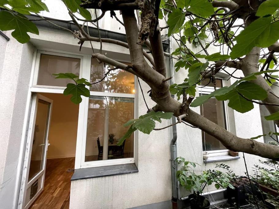 Cosy & Flat Near Center *