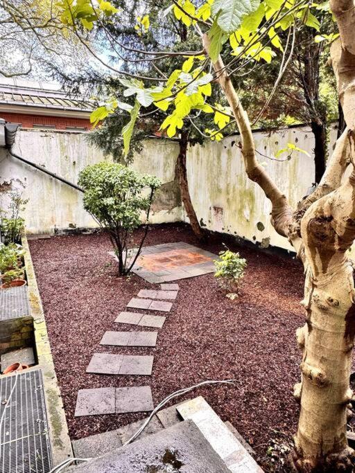 Cosy & Flat Near Center Apartment Dusseldorf